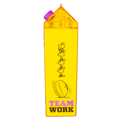 GEEKLAB - BOTELLA CUADRADA - PEANUTS - WOODSTOCK